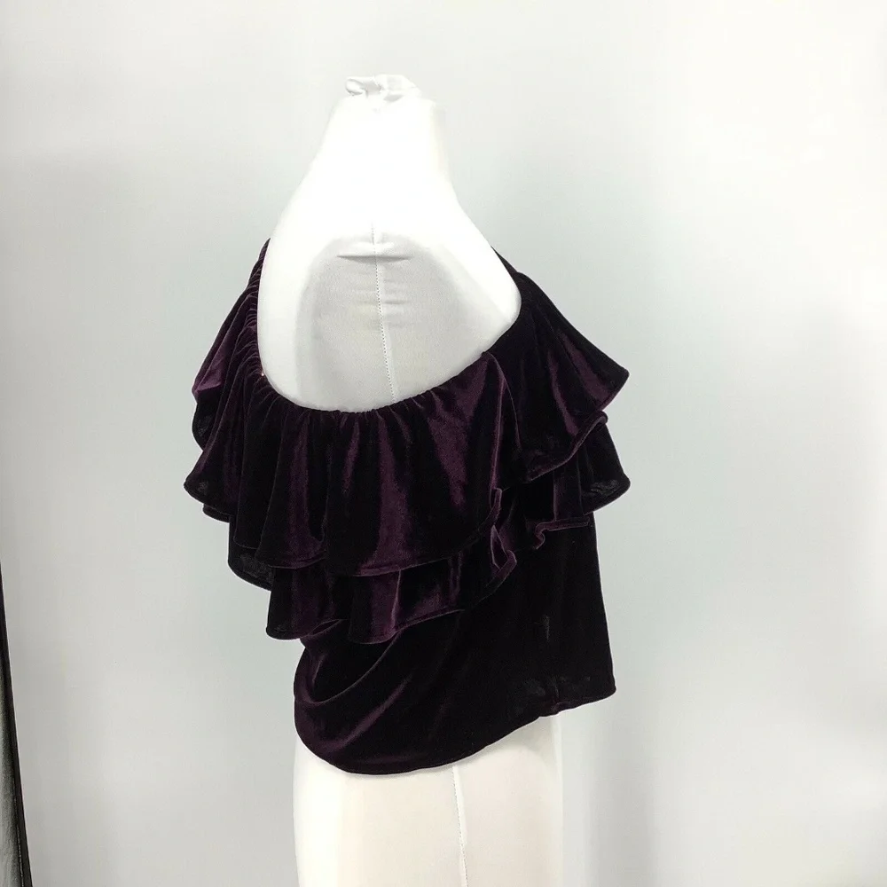 MISA LOS ANGELES Agus One-Shoulder Velvet Top Plum - Picture 4 of 8
